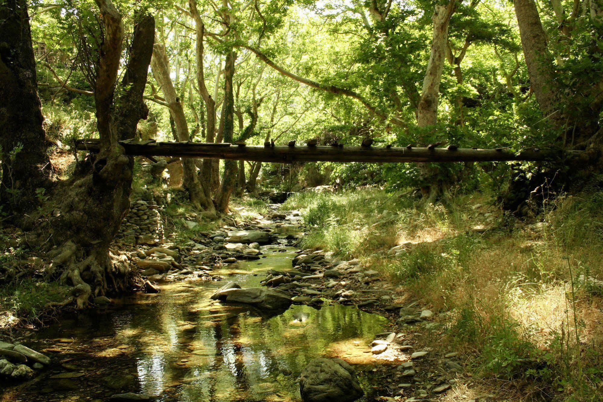 Onar Andros Ξενοδοχείο Άχλα Εξωτερικό φωτογραφία